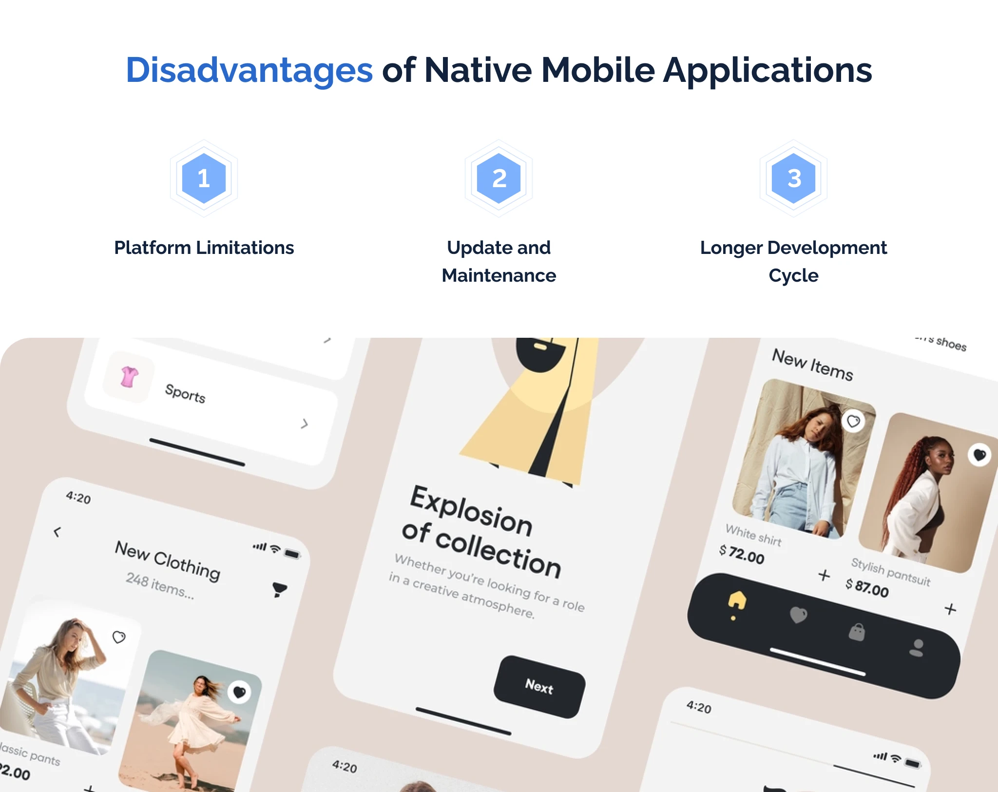 Disadvantages of Native Mobile Applications